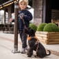Preview: DOG Copenhagen V2 Comfort Walk Pro Mocca